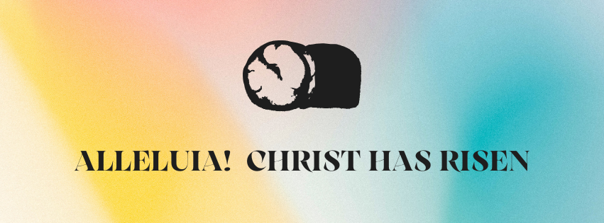 Purple and White Blooms Facebook Cover